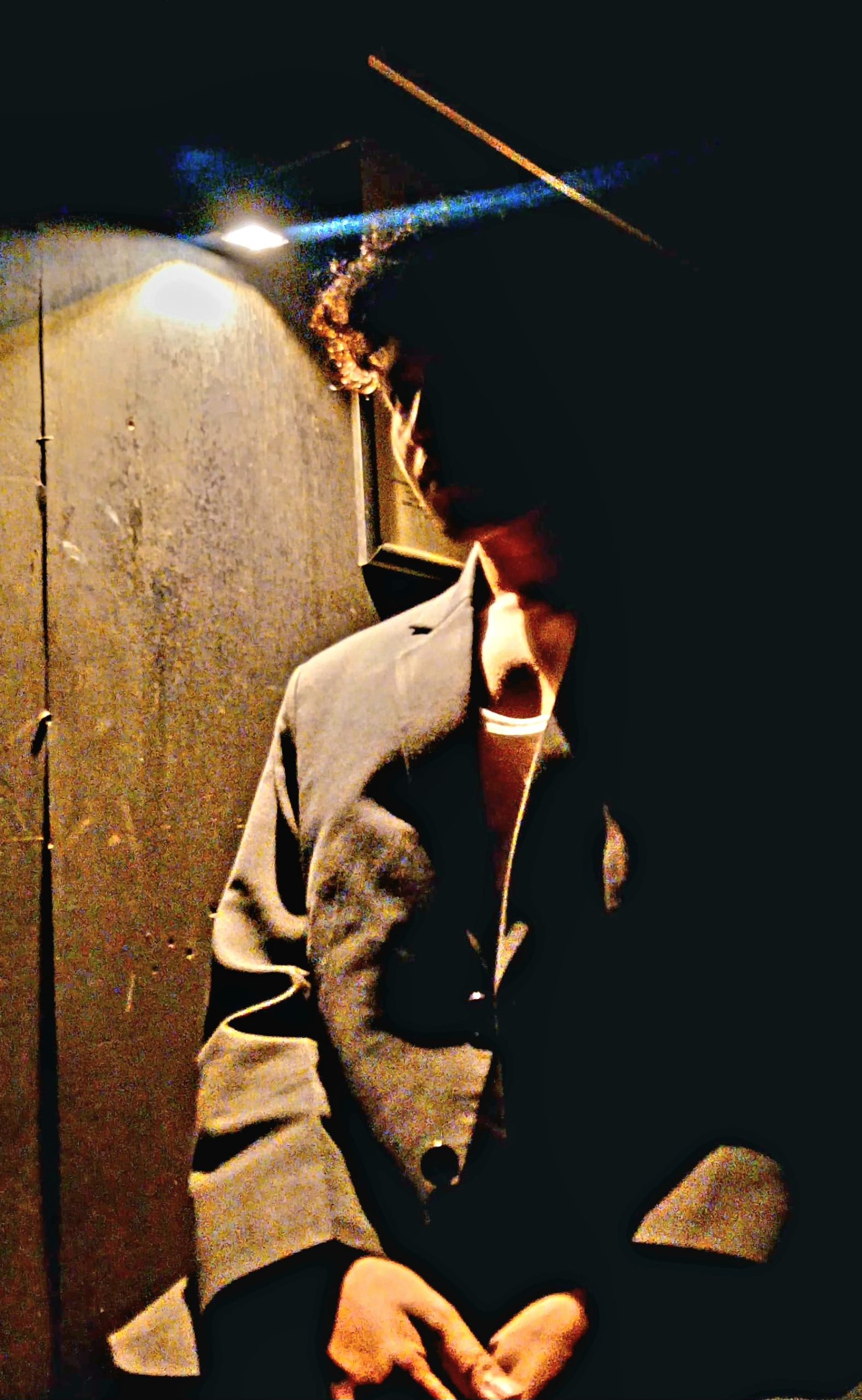 remasterdirector 1a5c03258